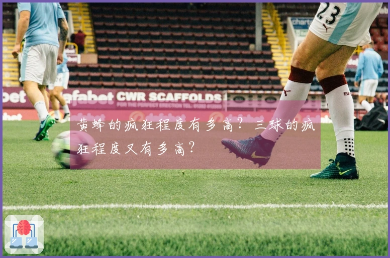黄蜂的疯狂程度有多高？三球的疯狂程度又有多高？