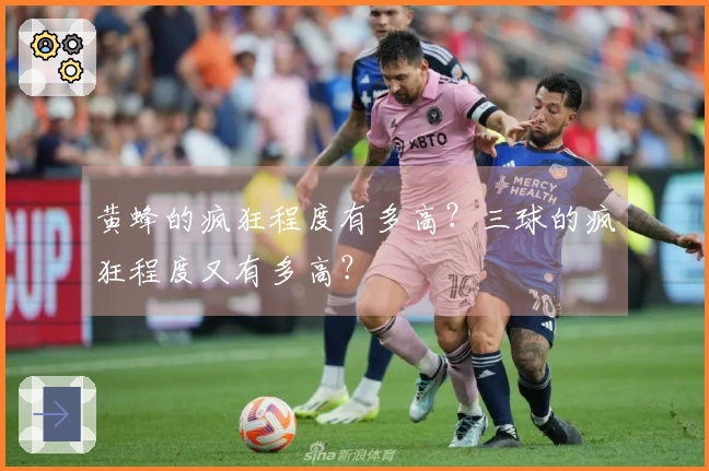 黄蜂的疯狂程度有多高？三球的疯狂程度又有多高？